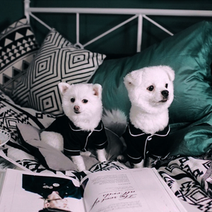 하얀마트, 강아지 샵, 반려동물, 반려견, 냥이, 강아지옷, 파자마 잠옷